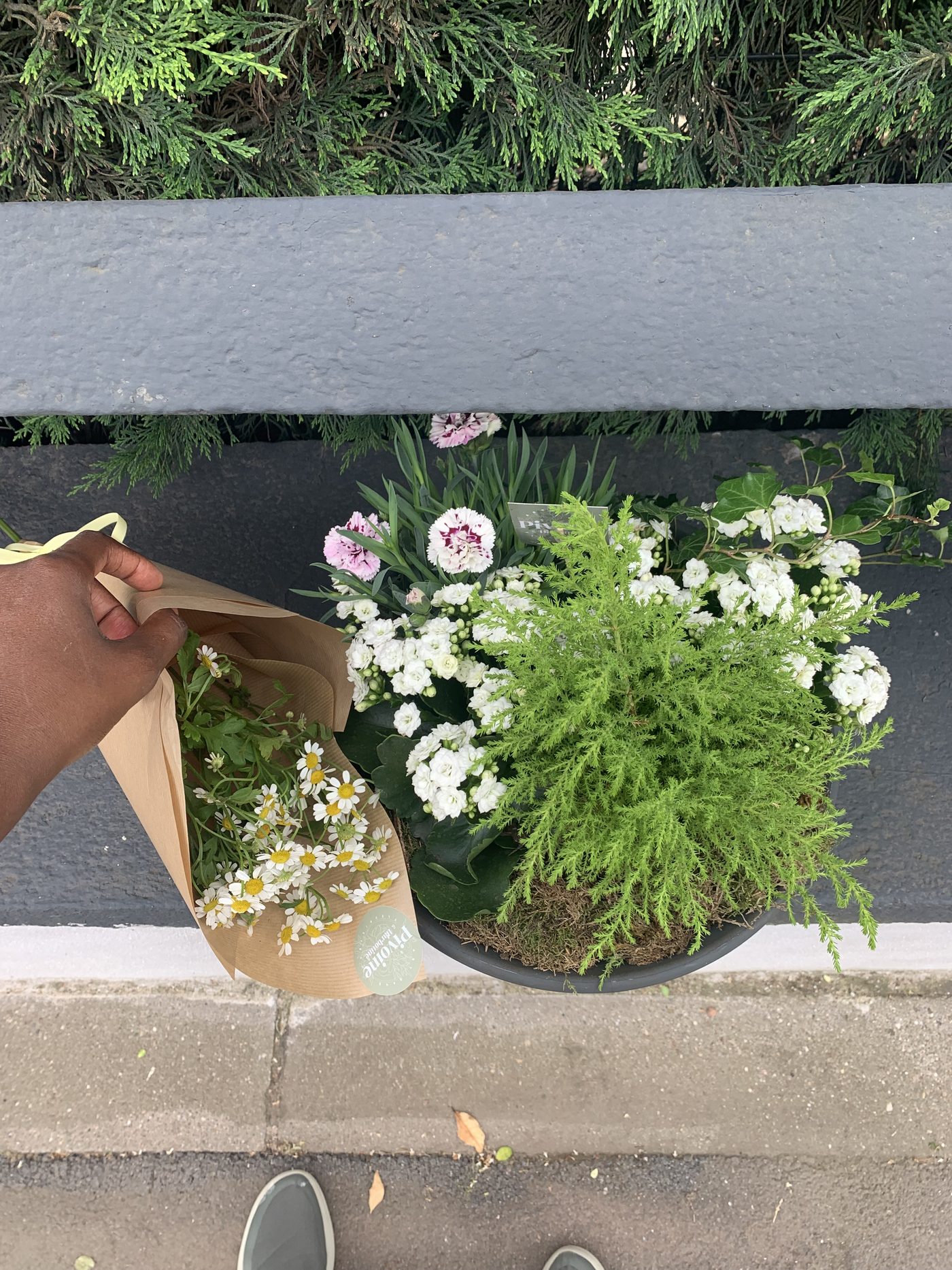Bouquet de camomille et composition florale